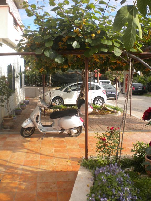 Apartments Miani Novigrad  Zewnętrze zdjęcie