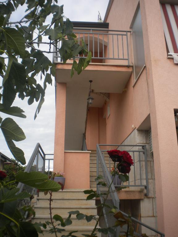Apartments Miani Novigrad  Zewnętrze zdjęcie