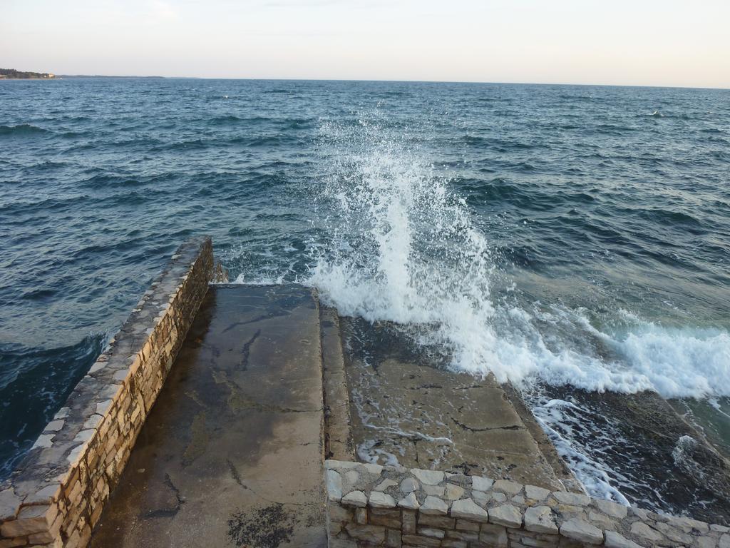 Apartments Miani Novigrad  Zewnętrze zdjęcie